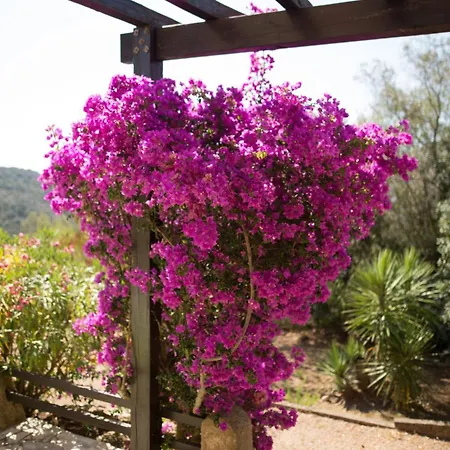 65m2 7 Pers - Rondinara, Bonifacio (Corsica)