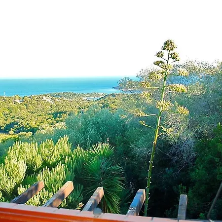 65m2 7 Pers - Rondinara, Ferienhaus Bonifacio (Corsica)