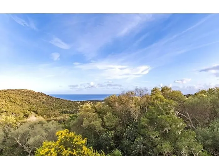 65m2 7 Pers - Rondinara, *