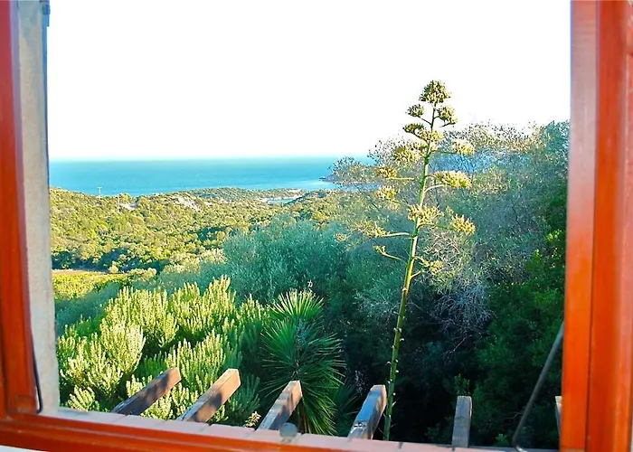 65m2 7 Pers - Rondinara, Vakantiehuis Bonifacio (Corsica)